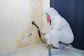 Best Mold Removal for HVAC Installations  in Tumter, WA